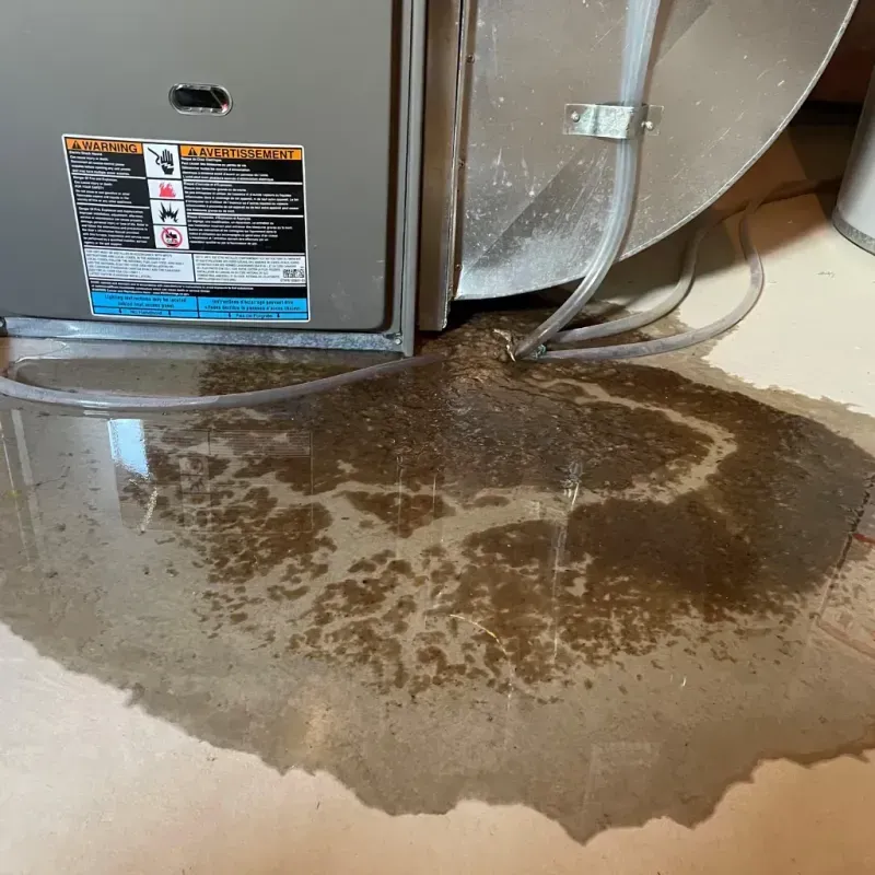 Appliance Leak Cleanup in Prudhoe Bay, AK